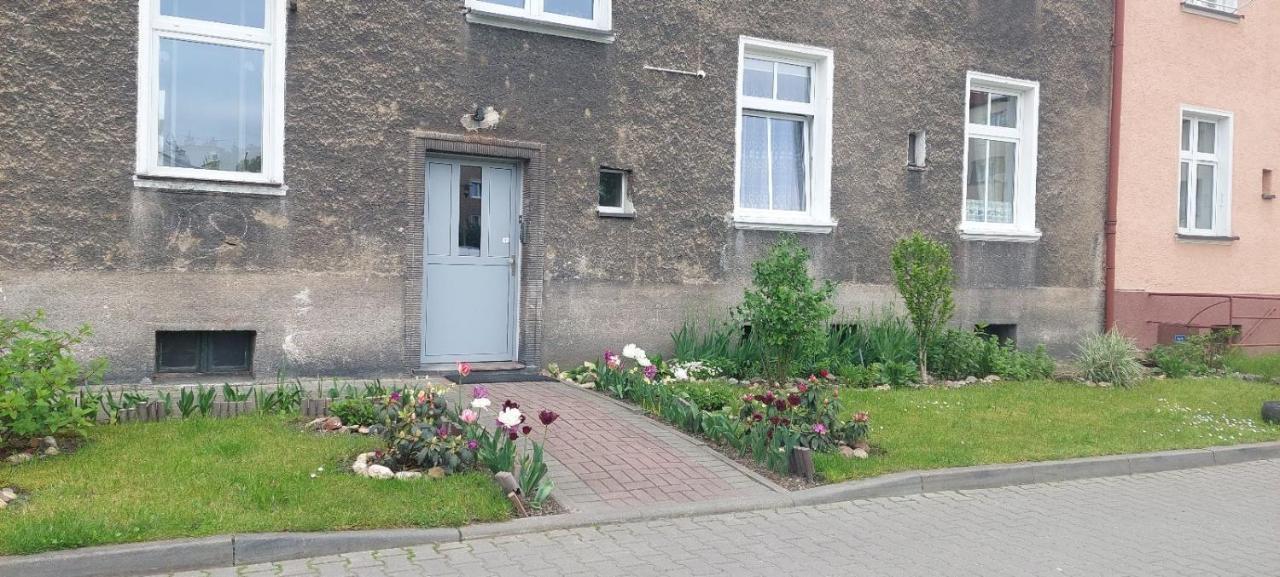 Apartament W Centrum Nysa Exteriör bild